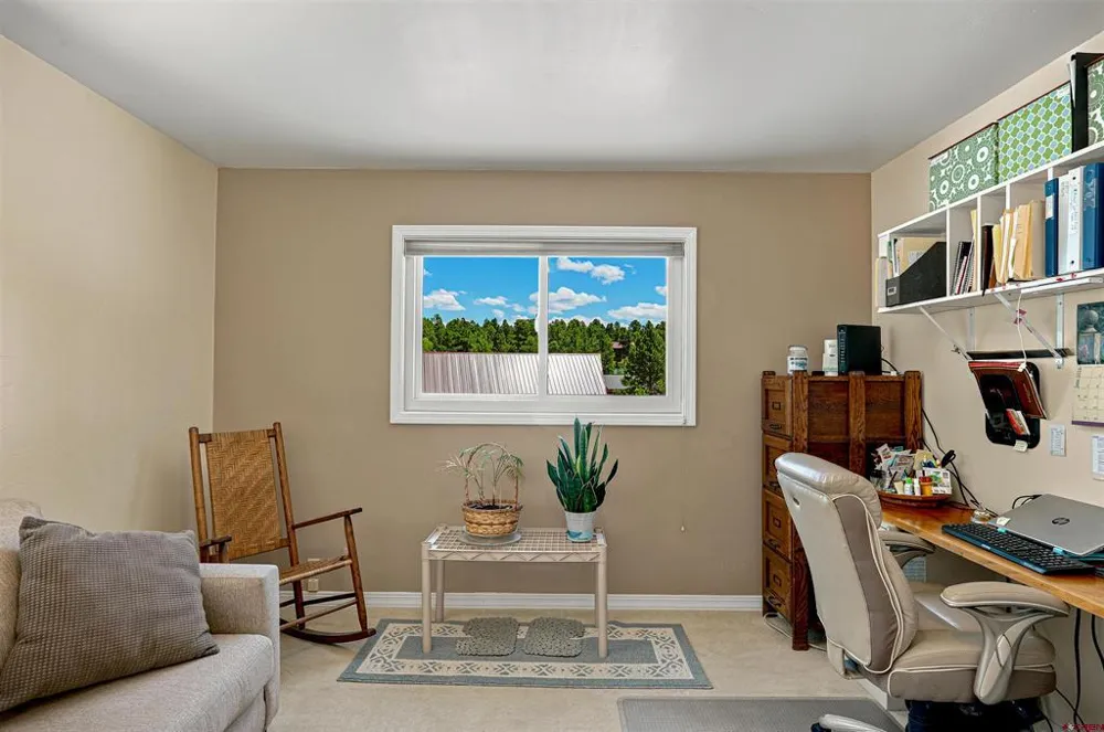 27 Driver Court Pagosa Springs, CO 81147