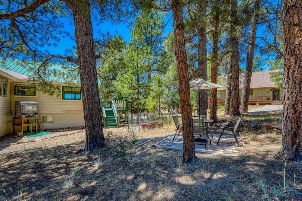 27 Driver Court Pagosa Springs, CO 81147
