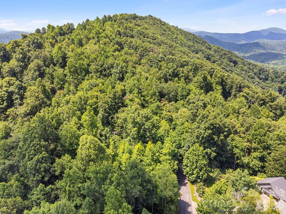 2523 Creston Drive #T-24 Black Mountain, NC 28711