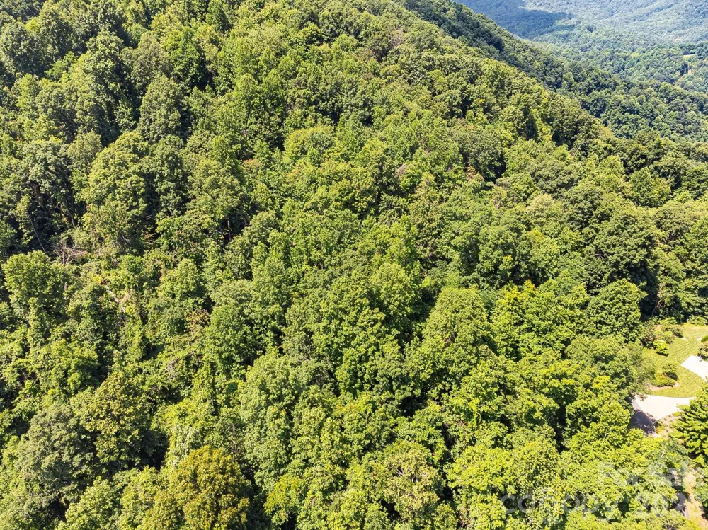 2523 Creston Drive #T-24 Black Mountain, NC 28711