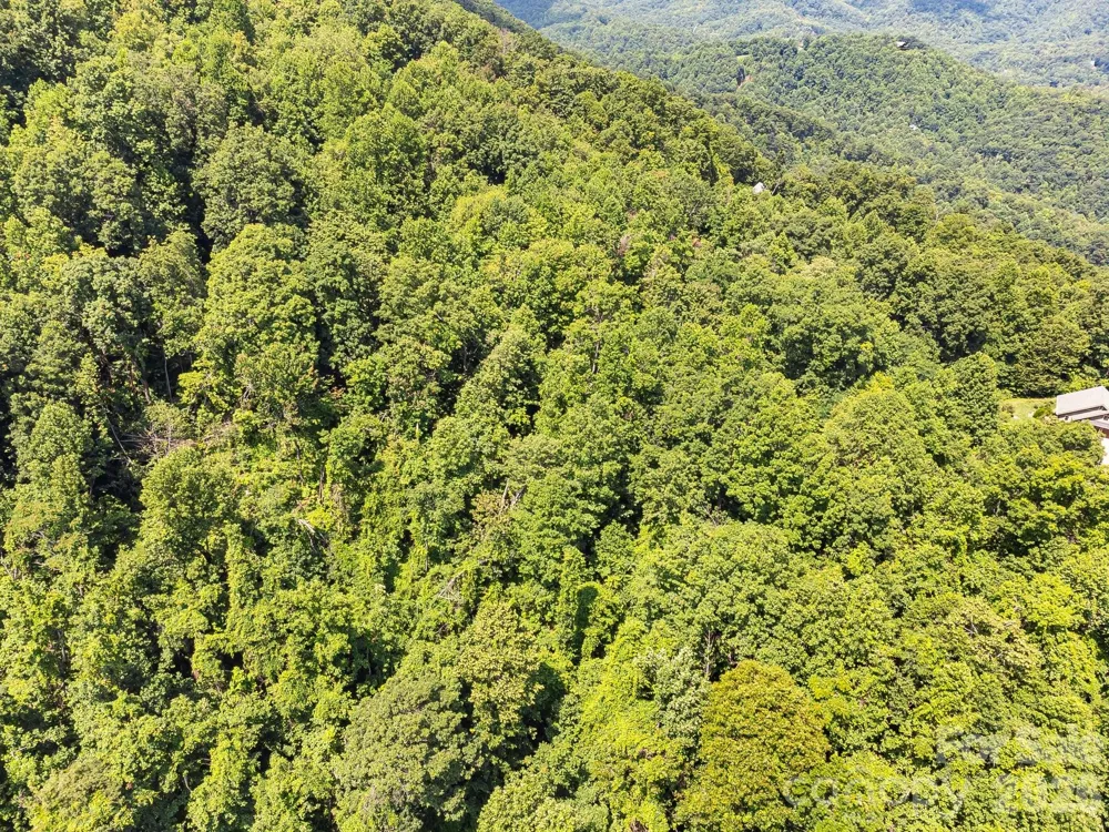 2523 Creston Drive #T-24 Black Mountain, NC 28711