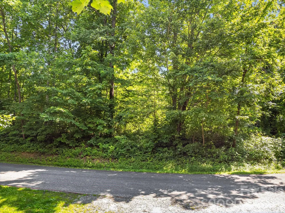 2523 Creston Drive #T-24 Black Mountain, NC 28711