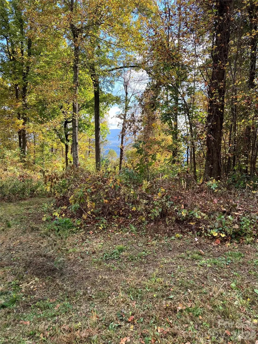 2523 Creston Drive #T-24 Black Mountain, NC 28711
