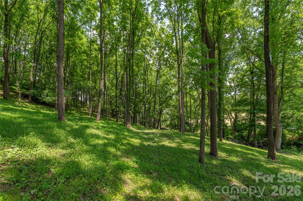 702 Love Joy Road Canton, NC 28716