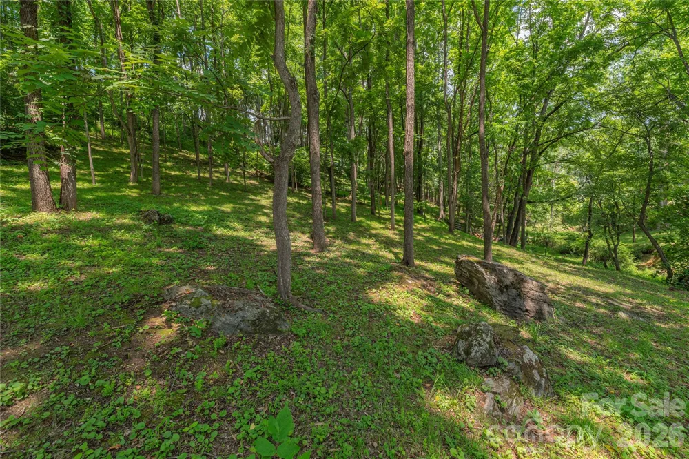 702 Love Joy Road Canton, NC 28716