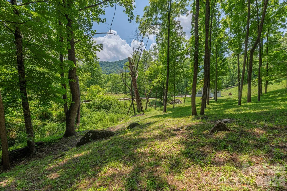 702 Love Joy Road Canton, NC 28716