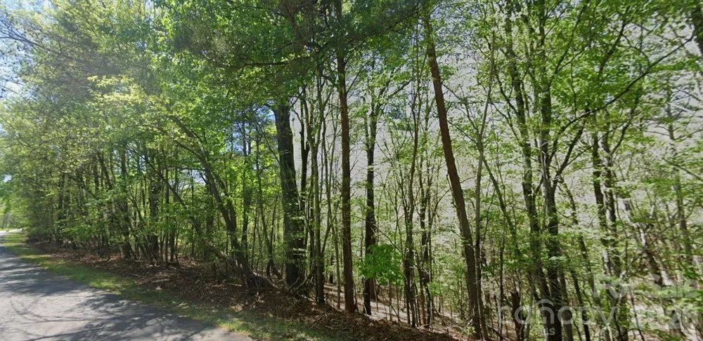 0 Ridge Lane #all of 6 portion of 7 Wilkesboro, NC 28697