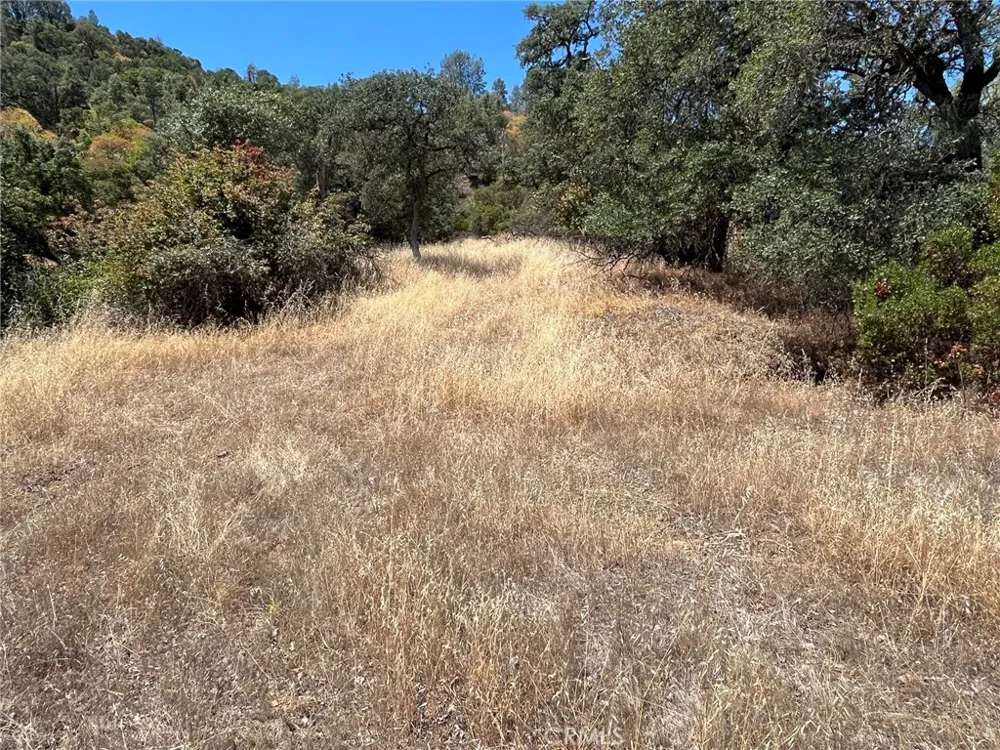 11480 North Clearlake, CA 95422
