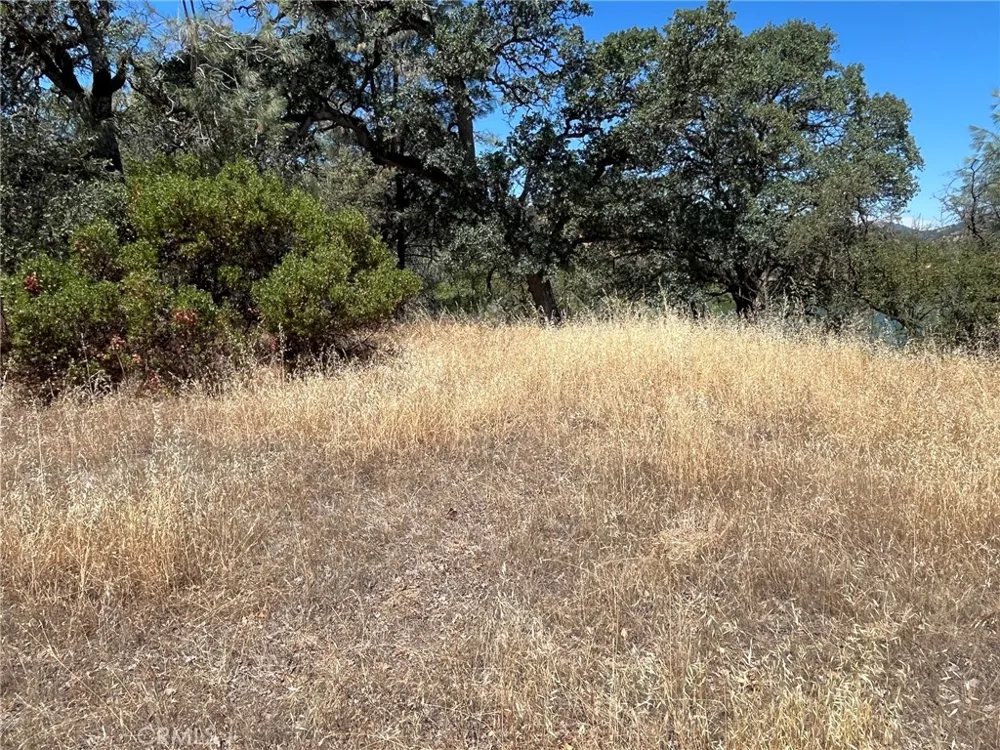 11480 North Clearlake, CA 95422