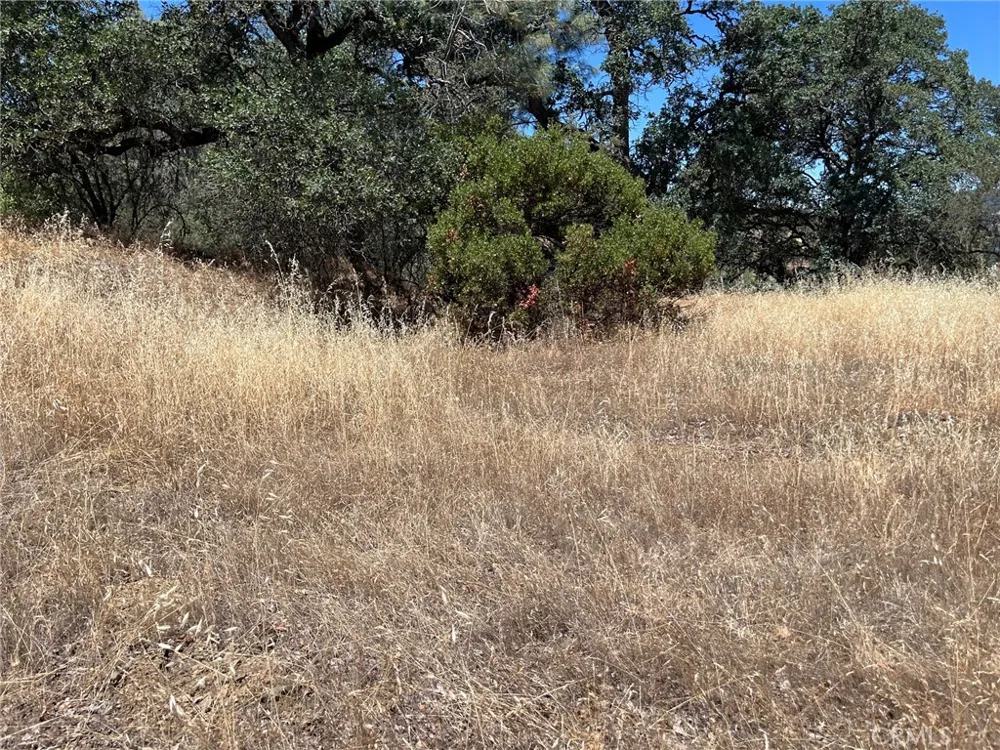 11480 North Clearlake, CA 95422