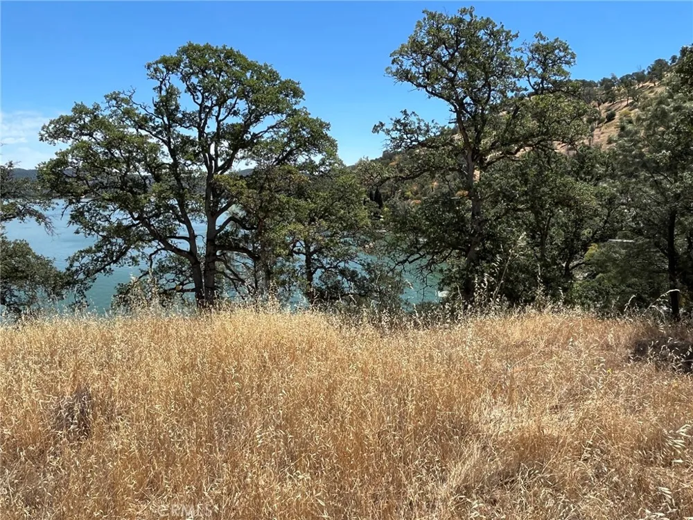 11480 North Clearlake, CA 95422
