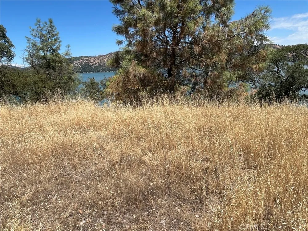 11480 North Clearlake, CA 95422