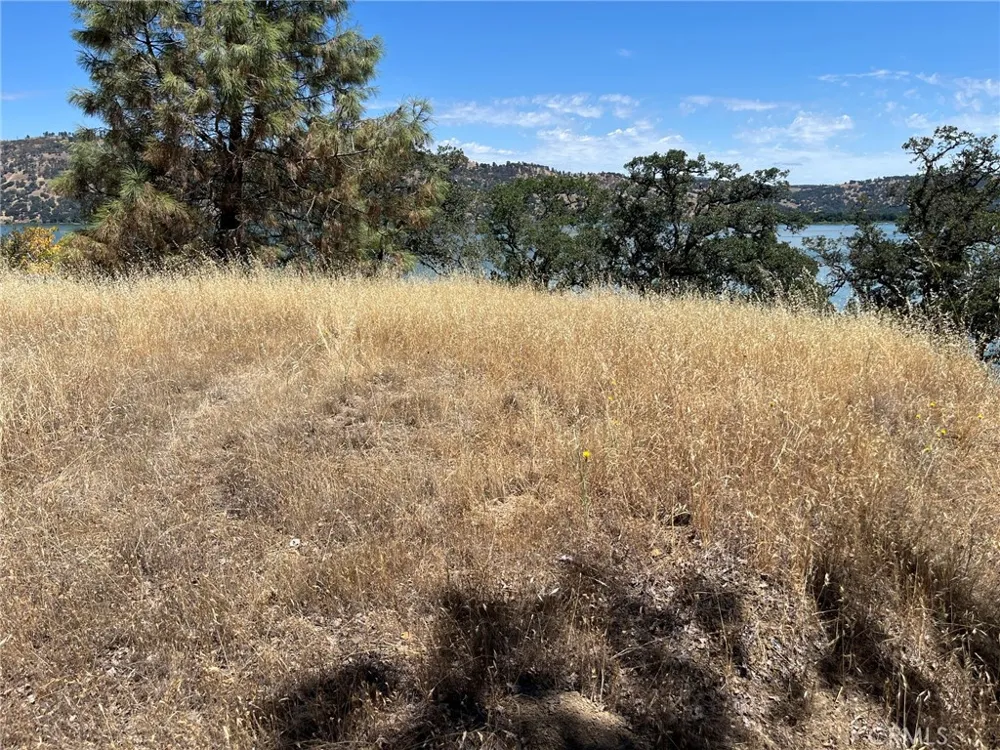 11480 North Clearlake, CA 95422