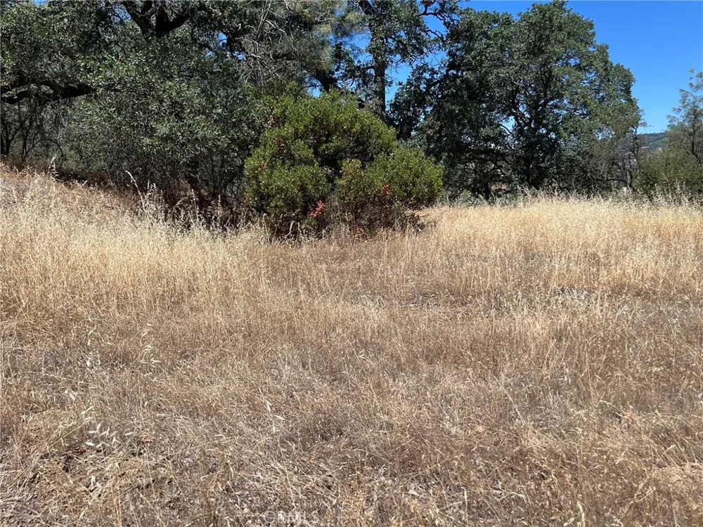 11480 North Clearlake, CA 95422