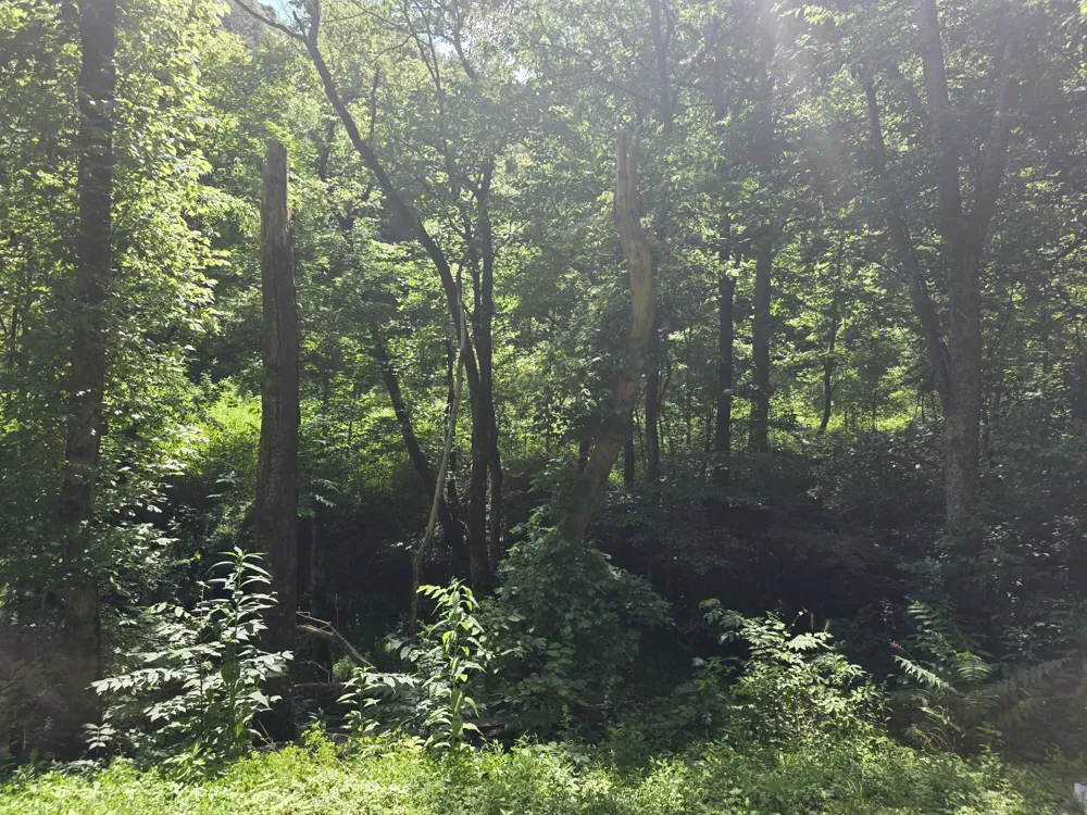 0 Difficult Ln Pleasant Shade, TN 37145