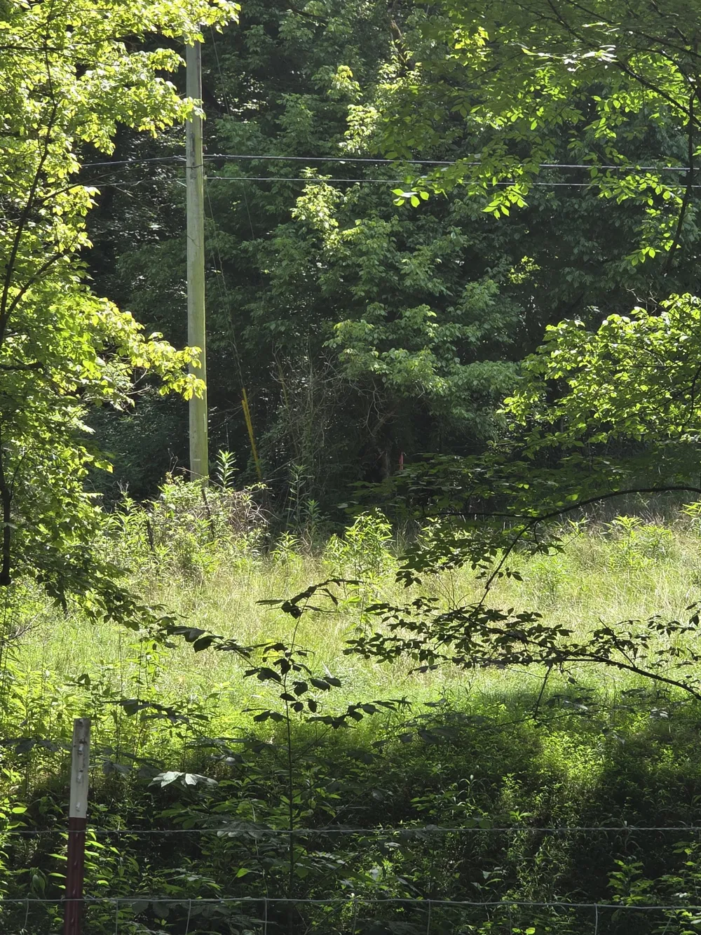 0 Difficult Ln Pleasant Shade, TN 37145