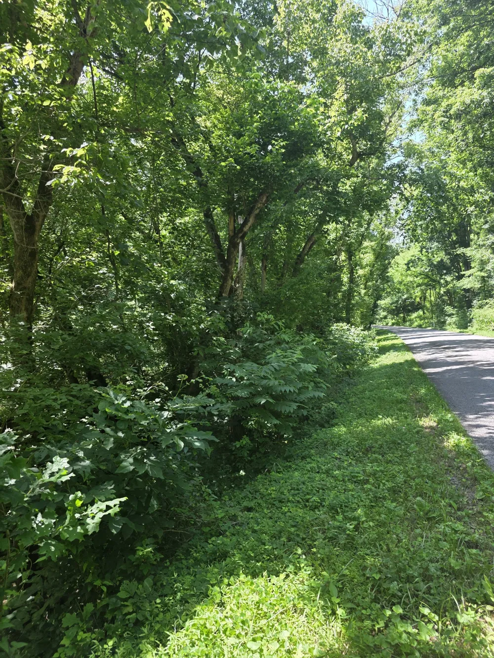 0 Difficult Ln Pleasant Shade, TN 37145