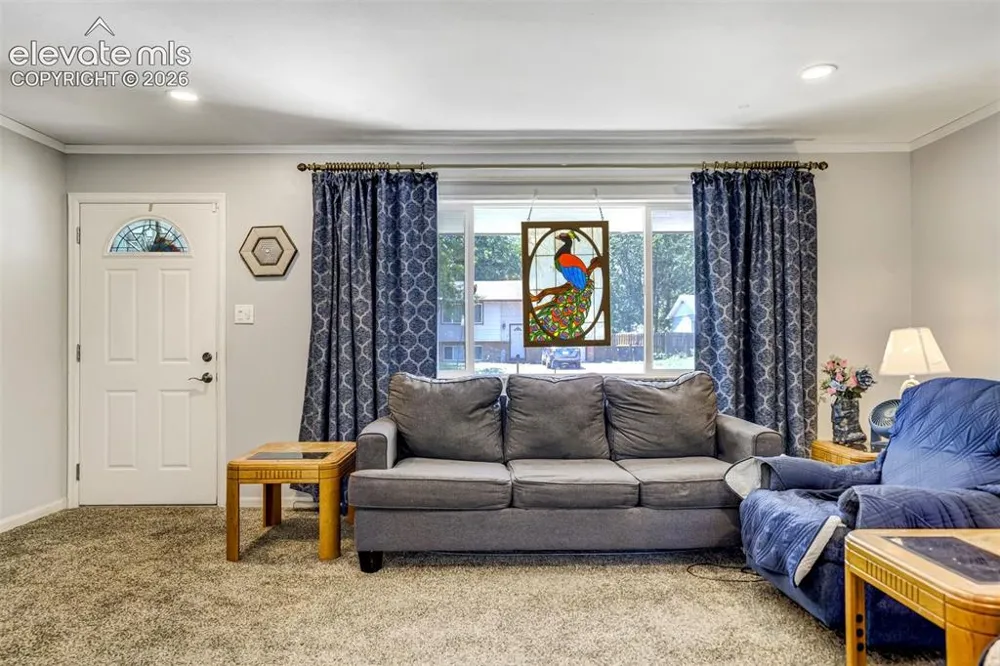 1215 Fosdick Drive Colorado Springs, CO 80909
