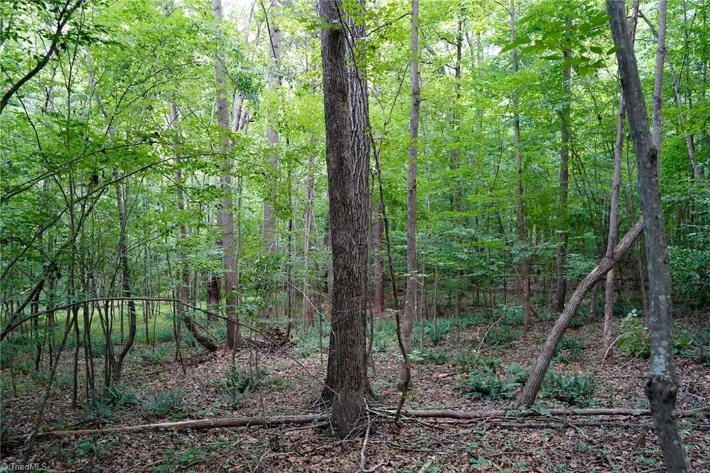 220 Austin Lane Stokesdale, NC 27357