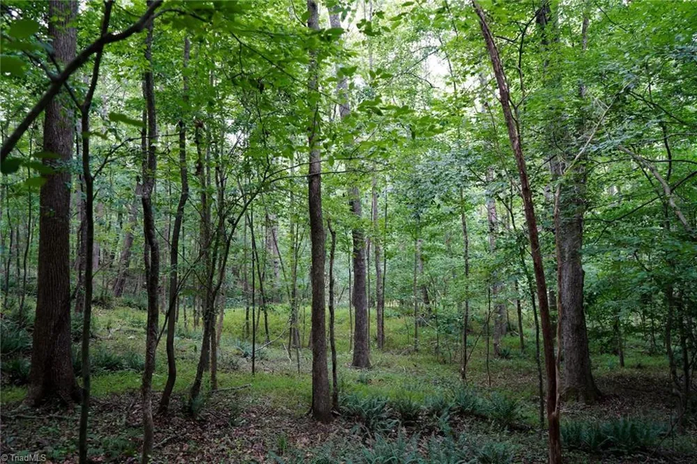 220 Austin Lane Stokesdale, NC 27357