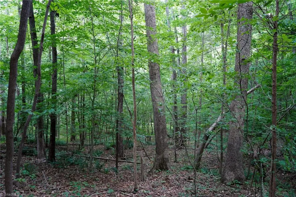 220 Austin Lane Stokesdale, NC 27357