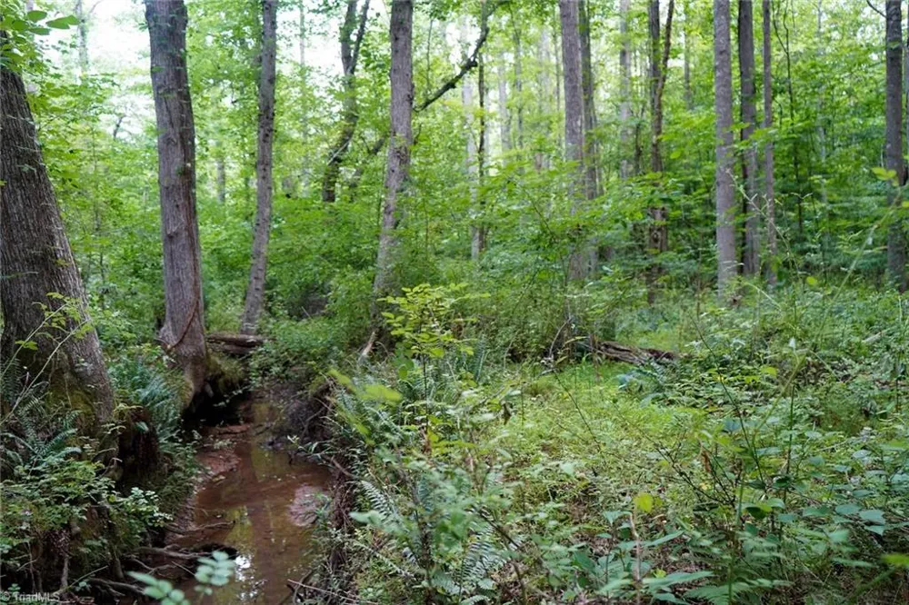 220 Austin Lane Stokesdale, NC 27357