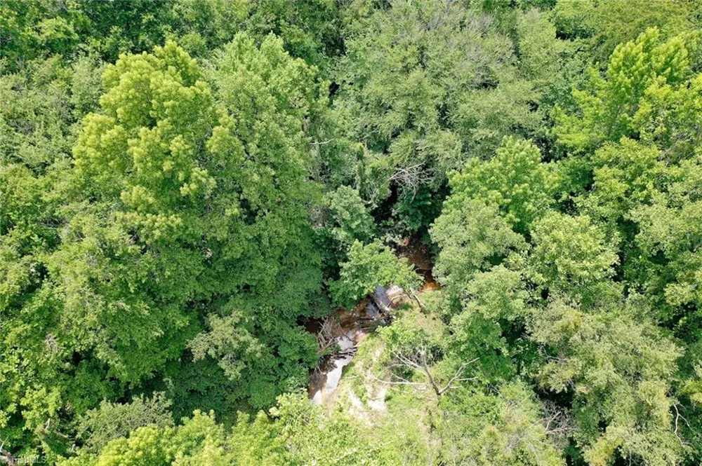 220 Austin Lane Stokesdale, NC 27357