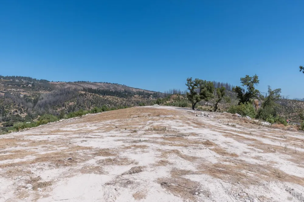 3560 Silverado Trail St. Helena, CA 94574