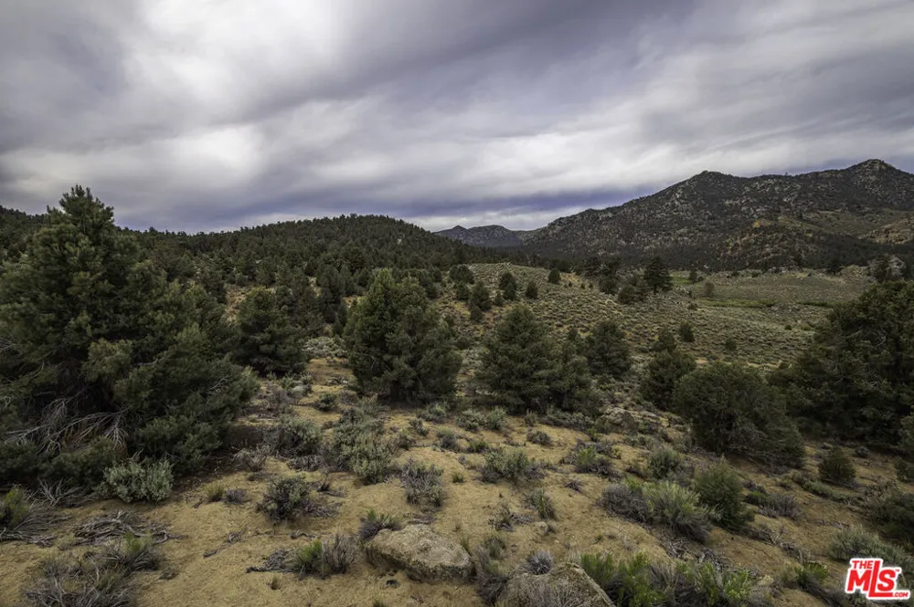 Pinon Drive Inyokern, CA 93527