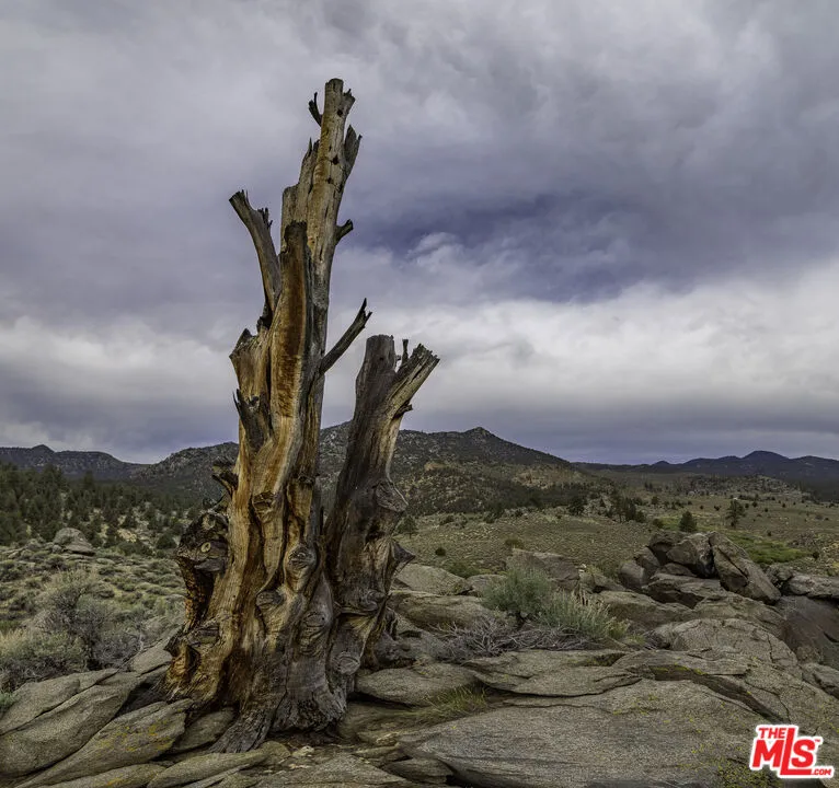 Pinon Drive Inyokern, CA 93527