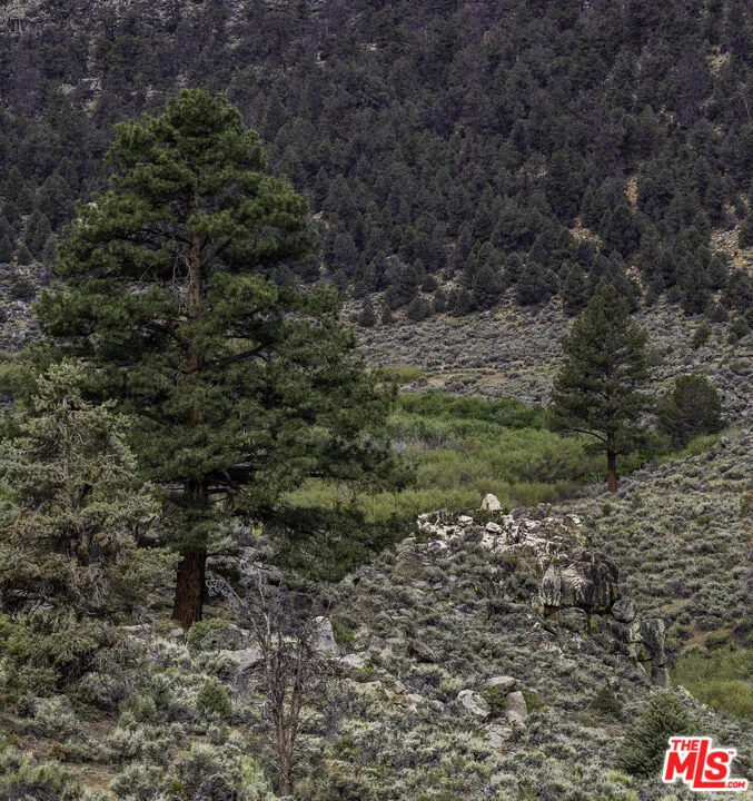 Pinon Drive Inyokern, CA 93527