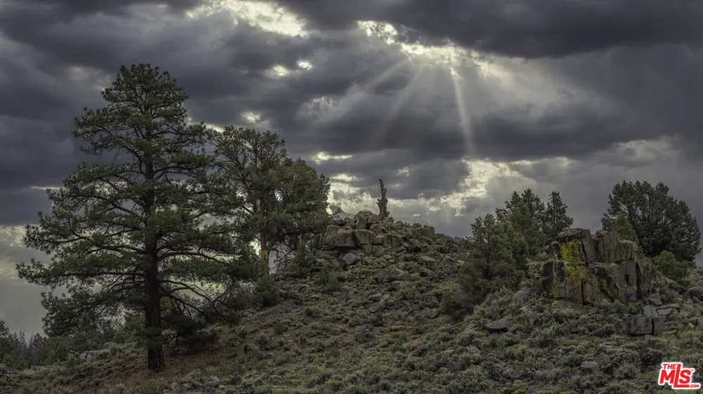 Pinon Drive Inyokern, CA 93527