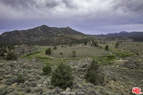 Pinon Drive