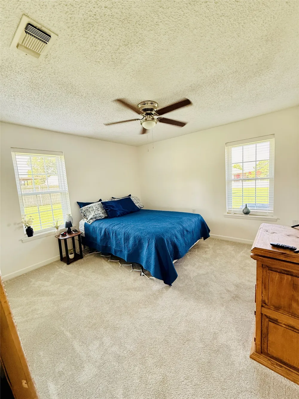 100 Vatra Street Mount Vernon, TX 75457