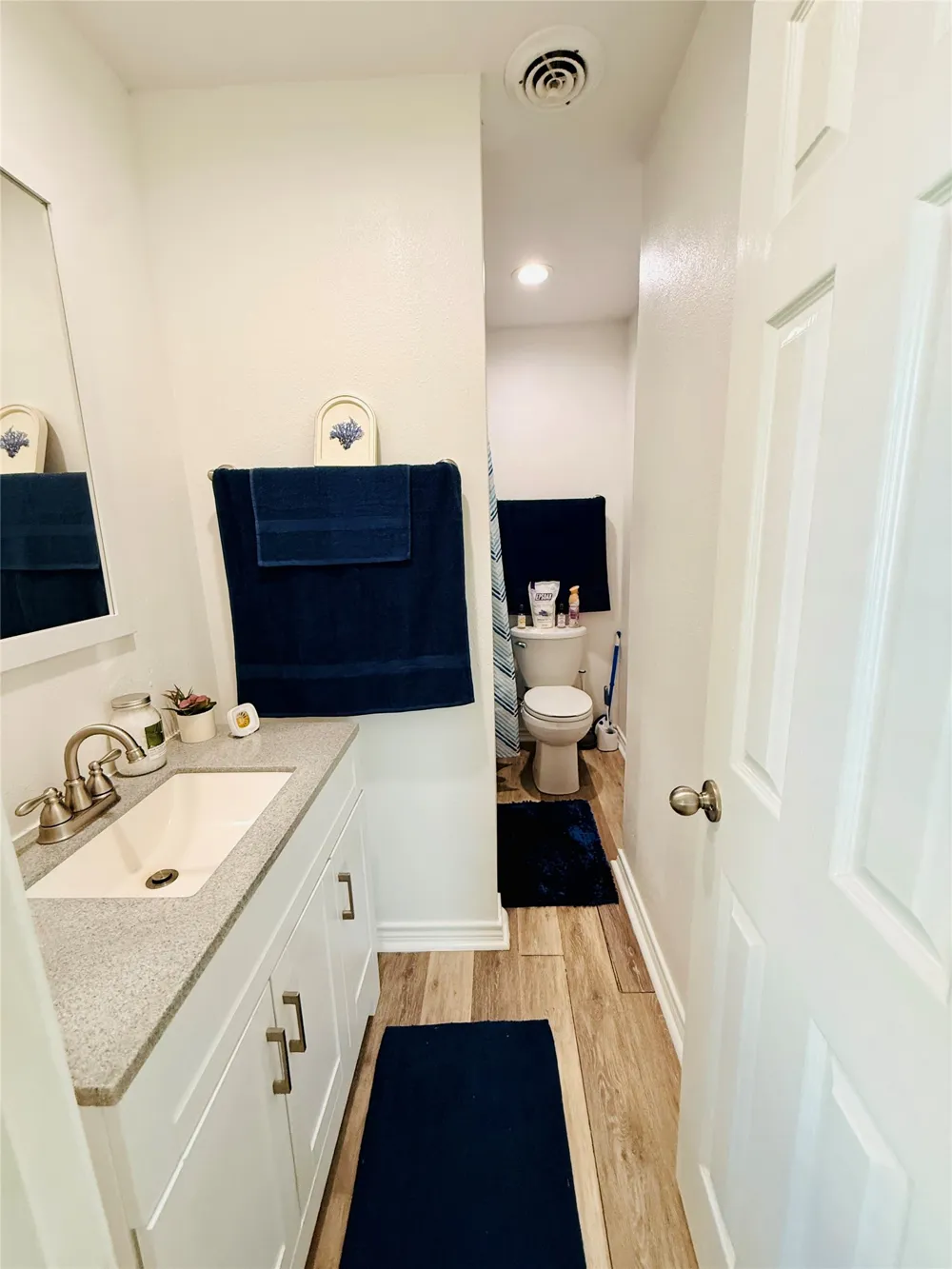 100 Vatra Street Mount Vernon, TX 75457
