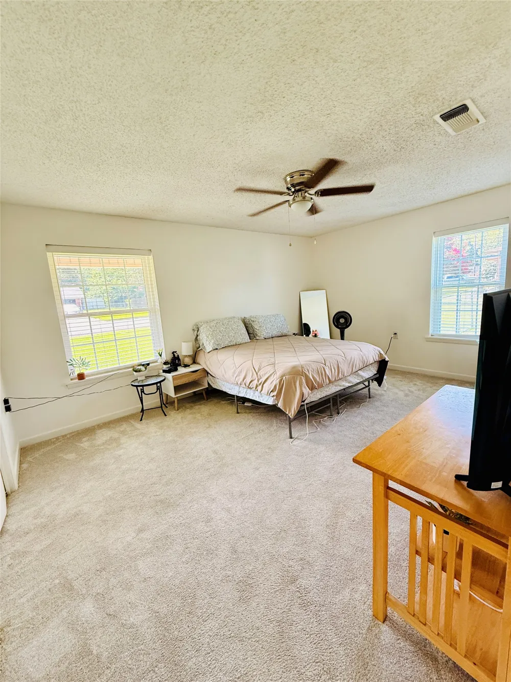 100 Vatra Street Mount Vernon, TX 75457