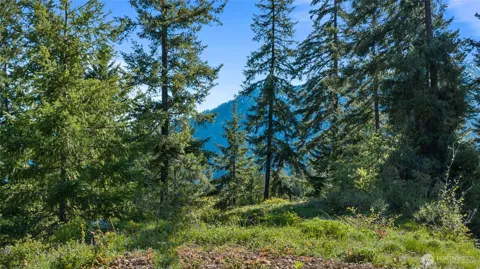 40 Newport Creek Loop