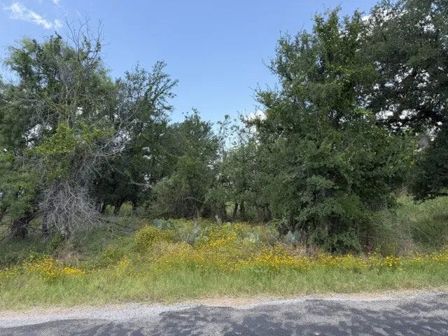 3523 Cactus Trail Kingsland, TX 78639