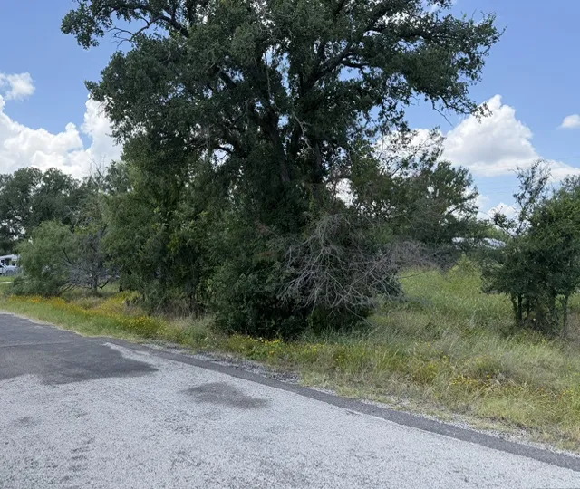 3523 Cactus Trail Kingsland, TX 78639