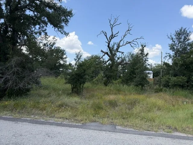 3523 Cactus Trail Kingsland, TX 78639