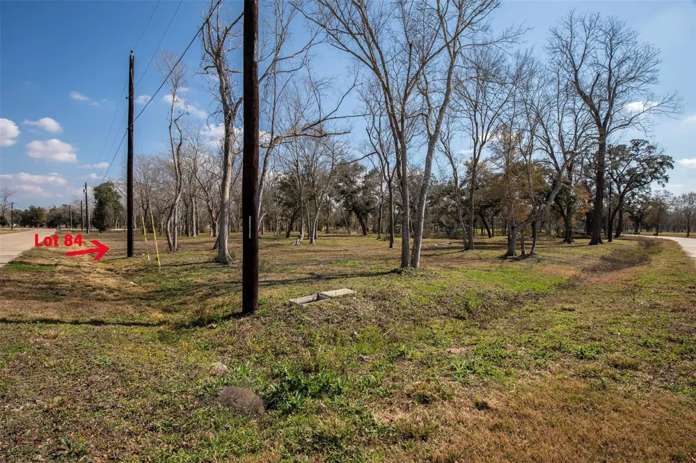 2807 Chinaberry Lane Alvin, TX 77511