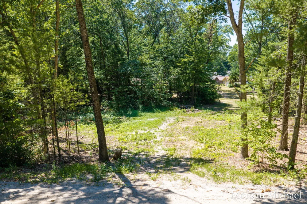 8750 S Spruce Avenue Brooks Township, MI 49337