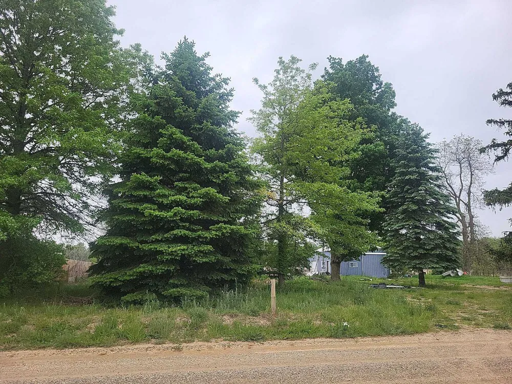 5971 Baseline Road Grand Junction, MI 49056
