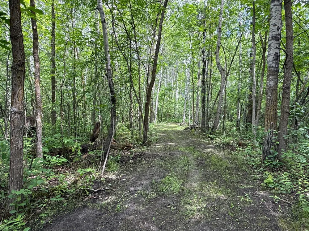 59256 340th Street Warroad, MN 56763