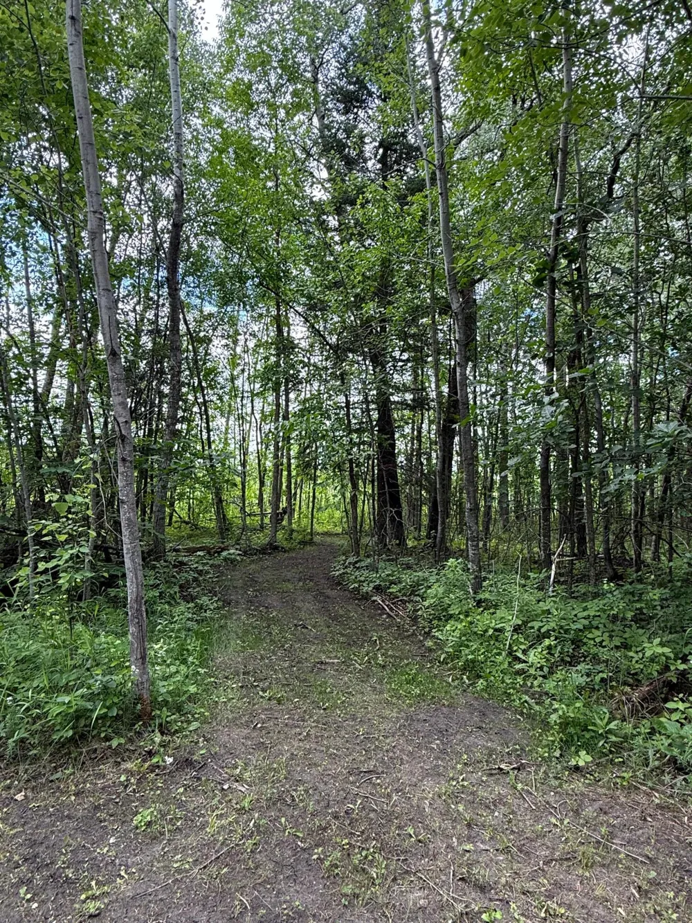59256 340th Street Warroad, MN 56763