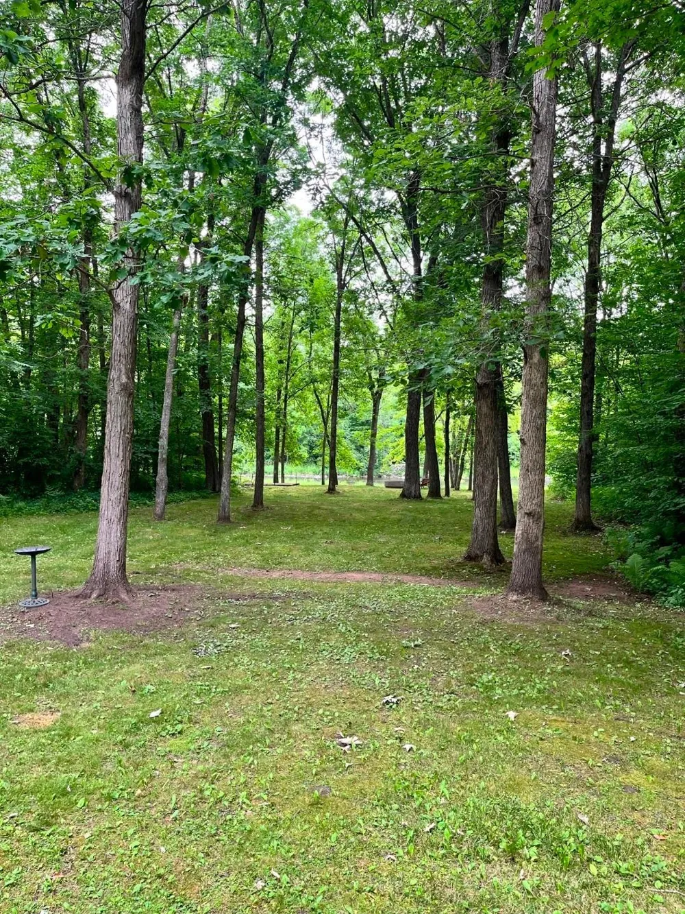 32625 Riverside Drive Pine City, MN 55063