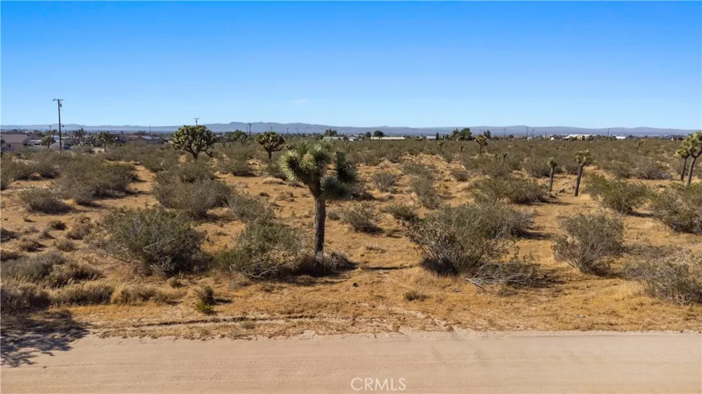 1 Nevada Road Phelan, CA 92371