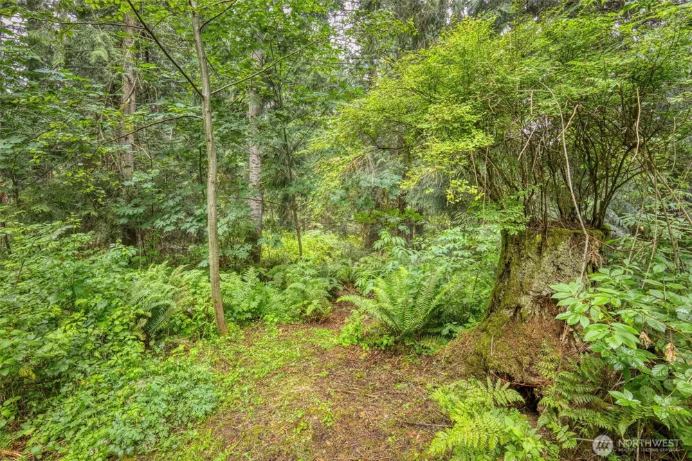 37841 Hansville Road NE Hansville, WA 98340