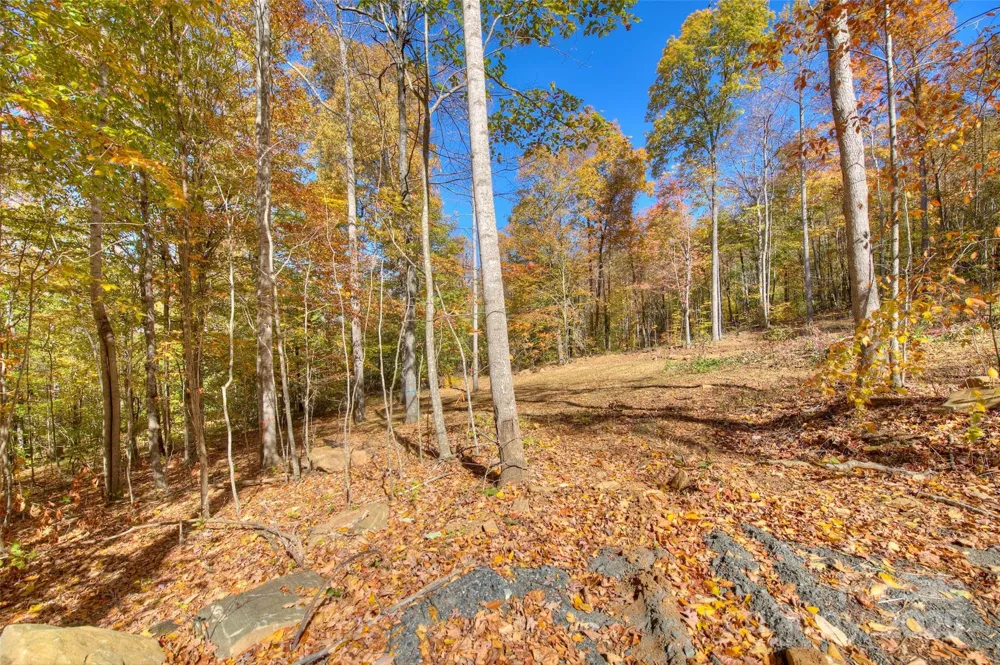 0 Pebble Ridge Road Spruce Pine, NC 28777