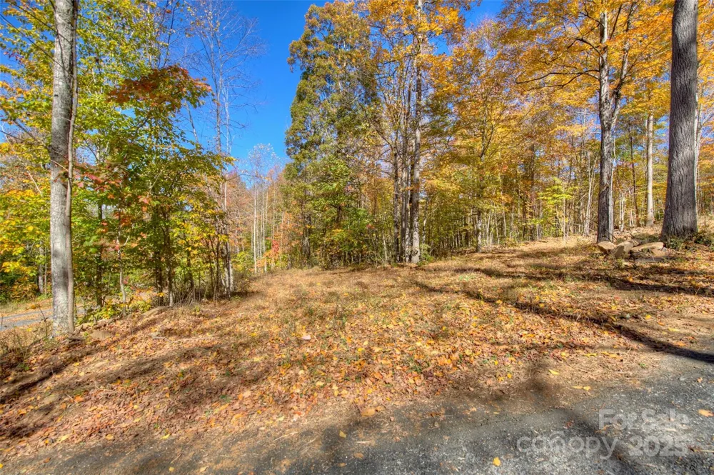 0 Pebble Ridge Road Spruce Pine, NC 28777